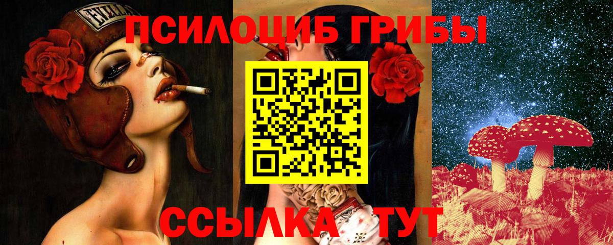 даркнет сайт  Вход с VPN  Норильск  Псилоцибиновые грибы ЛСД  Псилоцибиновые грибы Magic Shrooms 